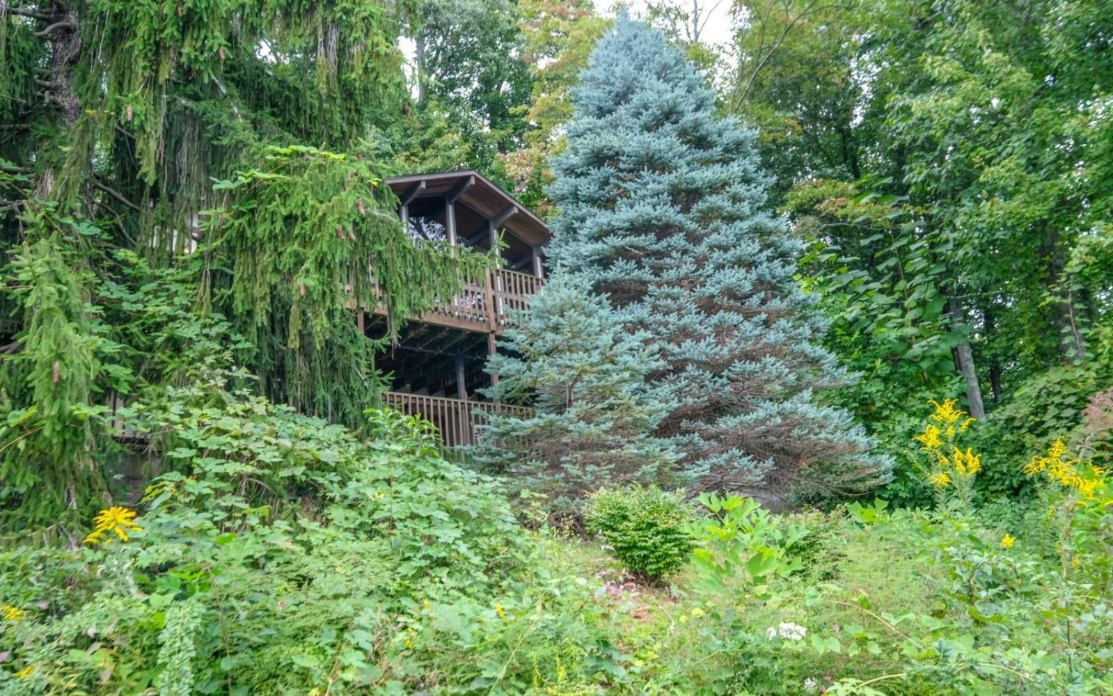 Three Pines 2139 Villa Gatlinburg Ngoại thất bức ảnh